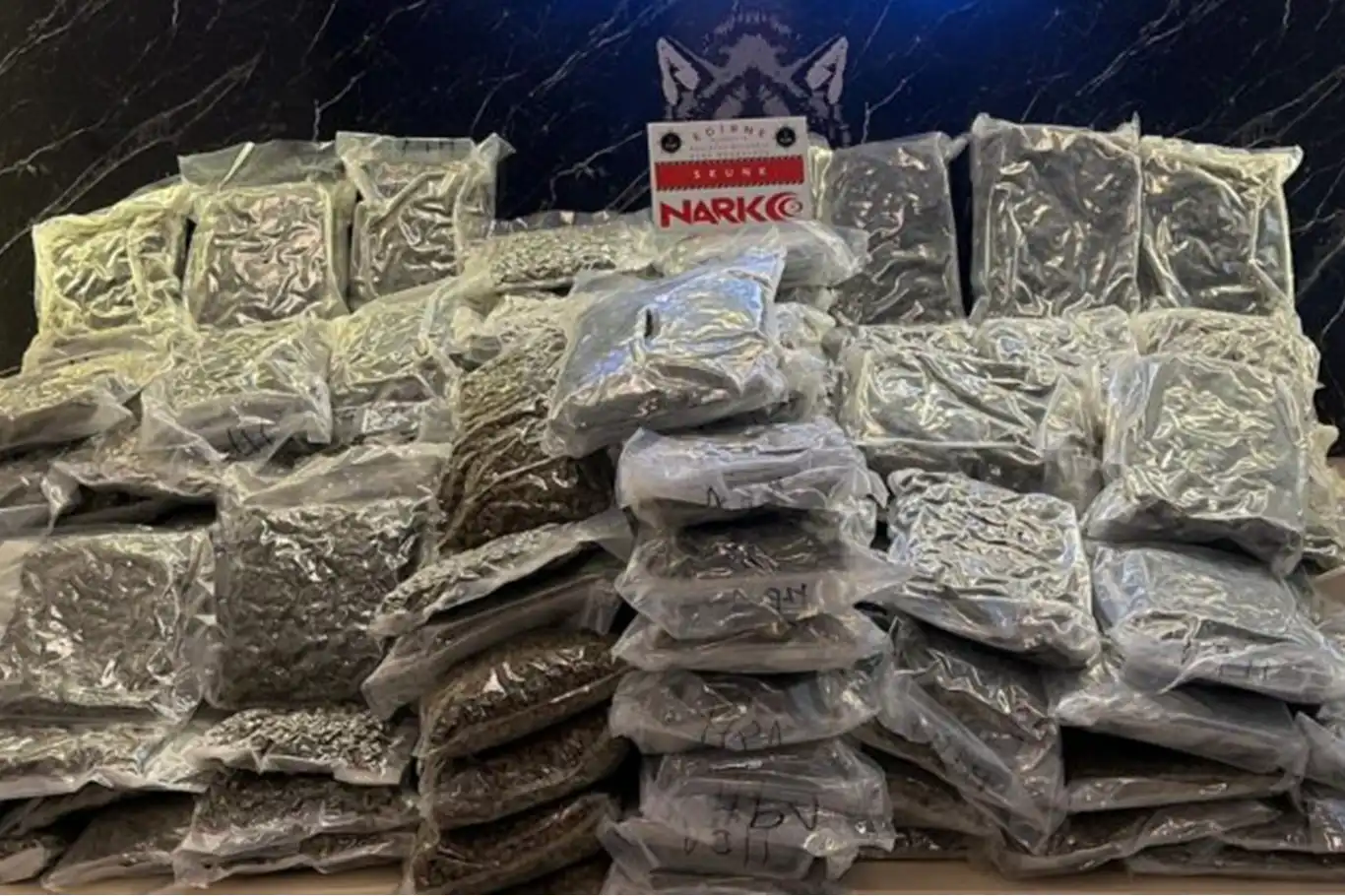 Hamzabeyli Sınır Kapısı’nda 115 kilogram uyuşturucu ele geçirildi: 2 tutuklama Hamzabeyli Sınır Kapısı’nda 115 kilogram uyuşturucu ele geçirildi: 2 tutuklama