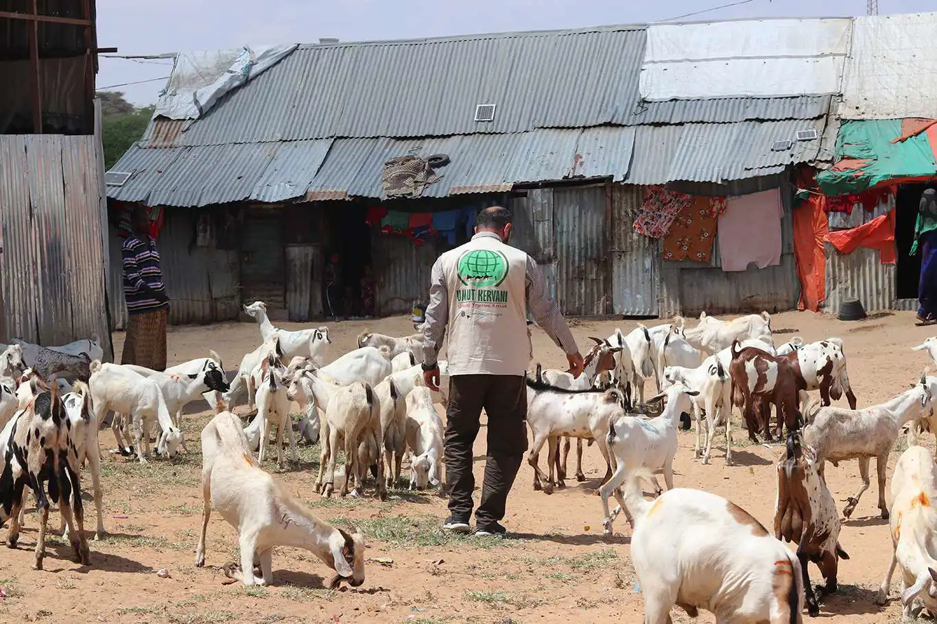Umut Kervanı Siirt, Somali için kurban hazırlıklarını tamamladı Umut Kervanı Siirt, Somali için kurban hazırlıklarını tamamladı