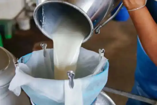 Ticari süt işletmelerince 1 milyon 15 bin ton inek sütü toplandı