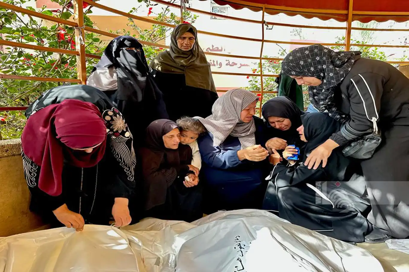 HAMAS: Netanyahu'nun katliamları zafer değil, siyasi intihar getirir HAMAS: Netanyahu'nun katliamları zafer değil, siyasi intihar getirir