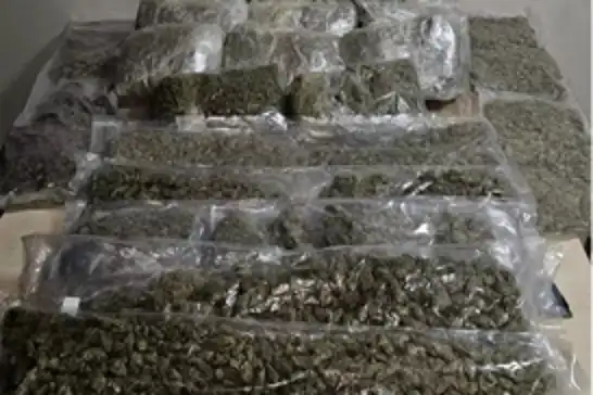 İzmir'de 19 kilogram esrar ele geçirildi: 1 gözaltı