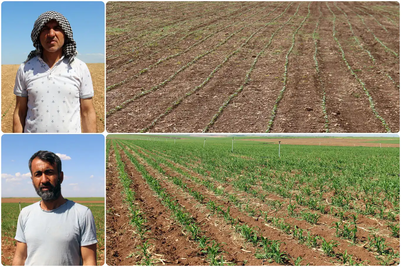 Çiftçiler: "Güneydoğu Anadolu Projesi acilen hayata geçirilsin"