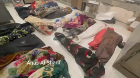 وزارة الصحة بغزة: ارتفاع حصيلة العدوان الإسرائيلي إلى 53010 شهداء