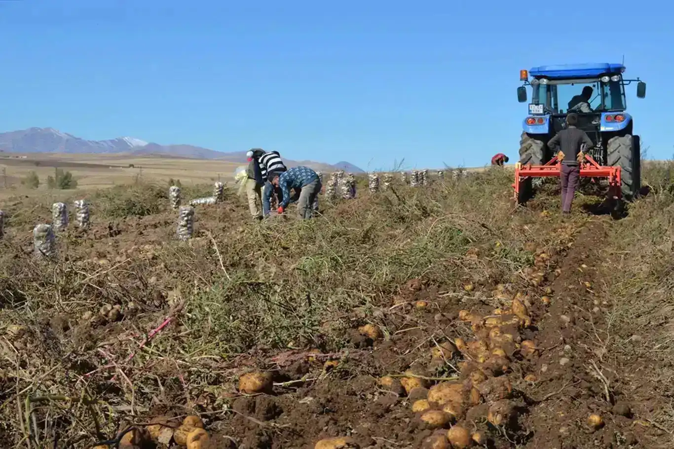 Türkiye’s agricultural producer prices see annual surge of 27.5% in April Türkiye’s agricultural producer prices see annual surge of 27.5% in April