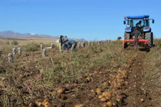 Türkiye’s agricultural producer prices see annual surge of 27.5% in April