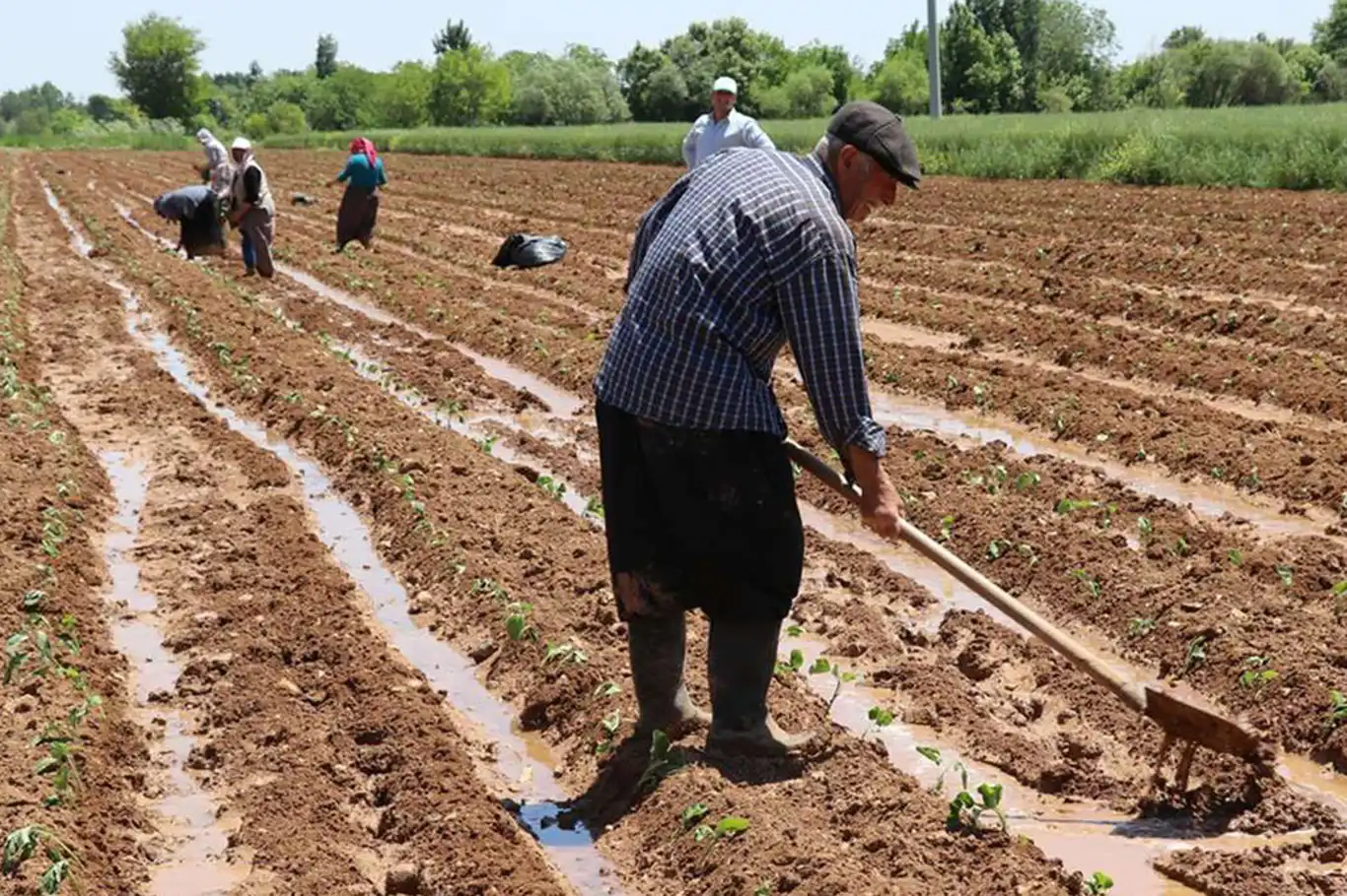 Üreticilere 5,1 milyar lira destekleme ödemesi yapılacak Üreticilere 5,1 milyar lira destekleme ödemesi yapılacak
