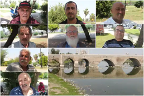 Adanalılar sinek sorunu nedeniyle tepkili: Belediyenin ilaçlama çalışmaları yetersiz