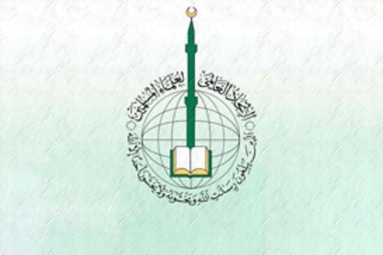 Muslim scholars holds global community accountable for Gaza genocide