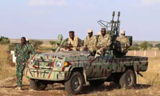 الجيش السوداني يعلن ولاية النيل الأبيض خالية من "الدعم السريع"