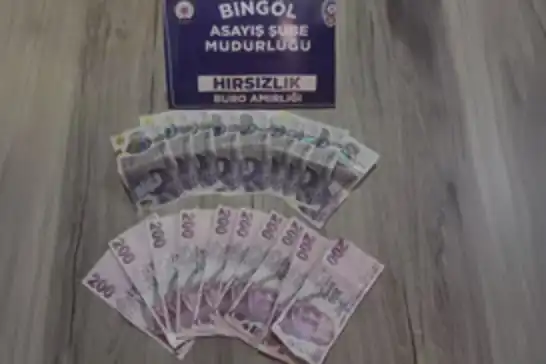 Bingöl'de hırsızlık zanlısı yakalandı