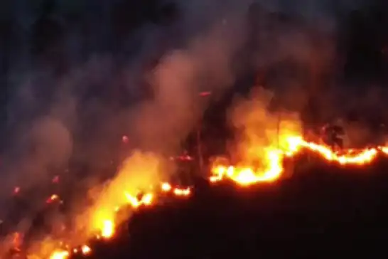 İzmir'de orman yangını
