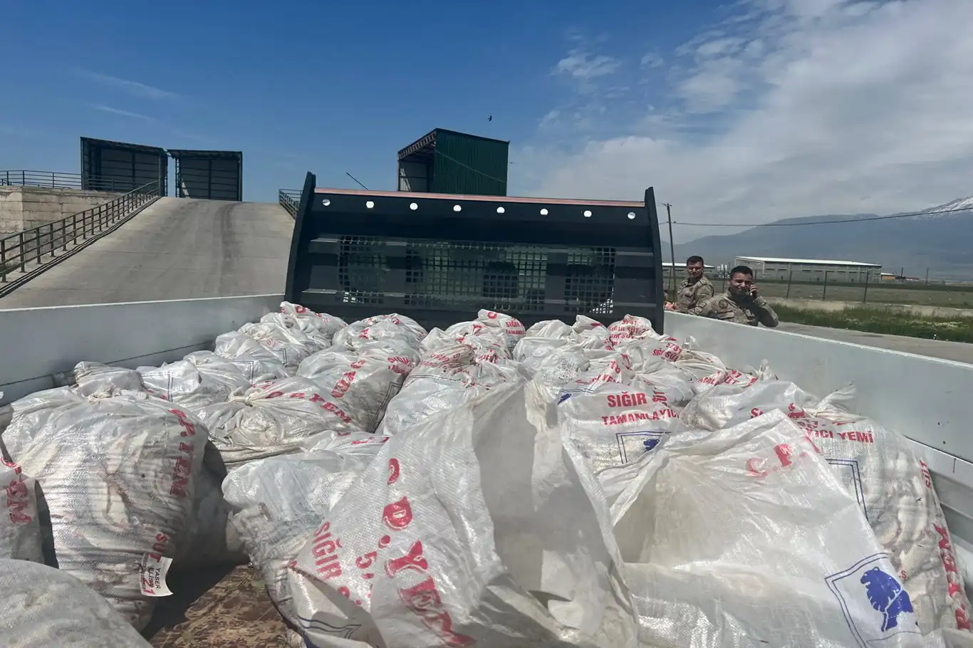Kaçak yollar ile taşınan 2 ton inci kefali Ağrı'da ele geçirildi Kaçak yollar ile taşınan 2 ton inci kefali Ağrı'da ele geçirildi