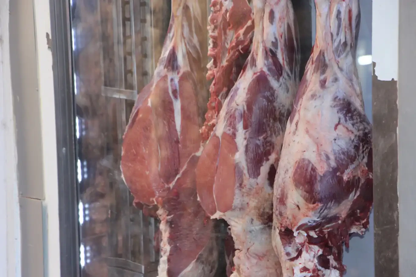 Bayramı hastanede geçirmemek için kurban keseceklere uzmanından tavsiyeler