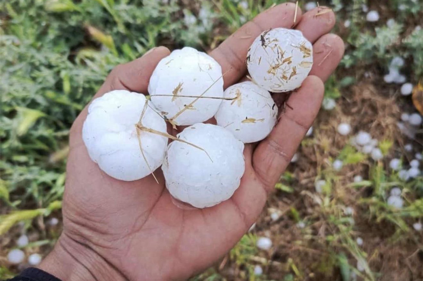 Li Rihayê zîpikên qasê topa berfê barîyan