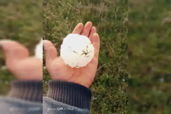 Li Rihayê zîpikên qasê topa berfê barîyan