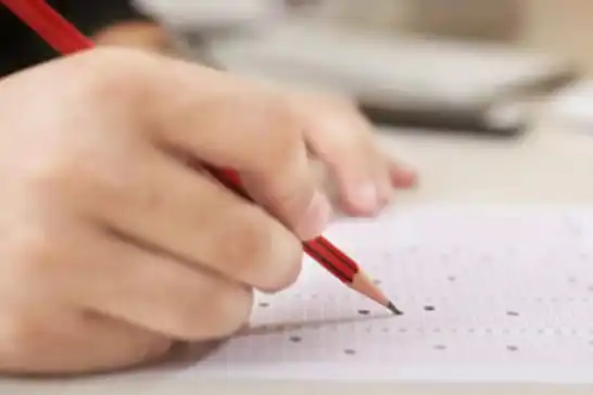 MEB bursluluk sınav sonuçları açıklandı