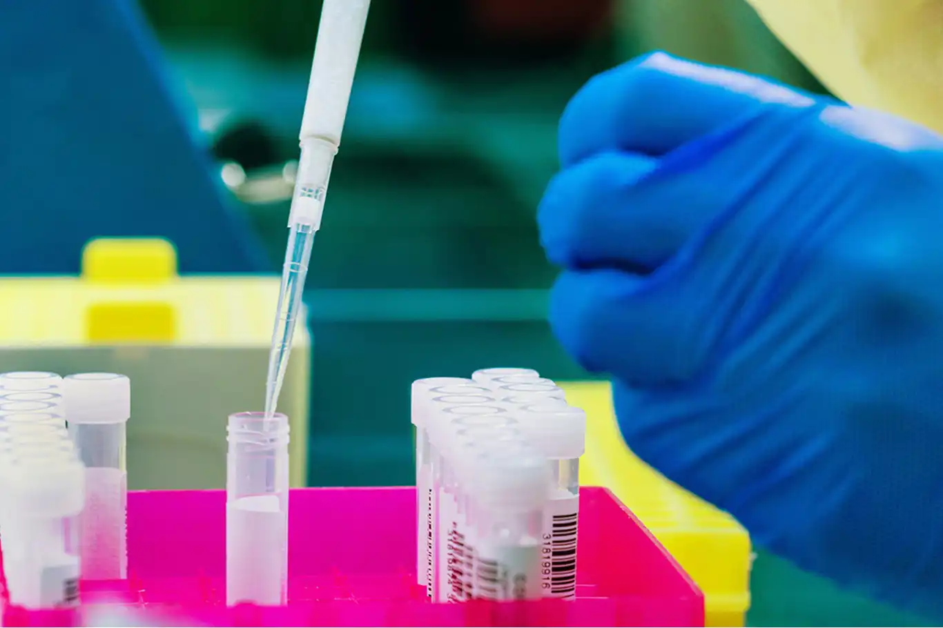 Australia confirms first case of severe mpox clade 1b variant Australia confirms first case of severe mpox clade 1b variant
