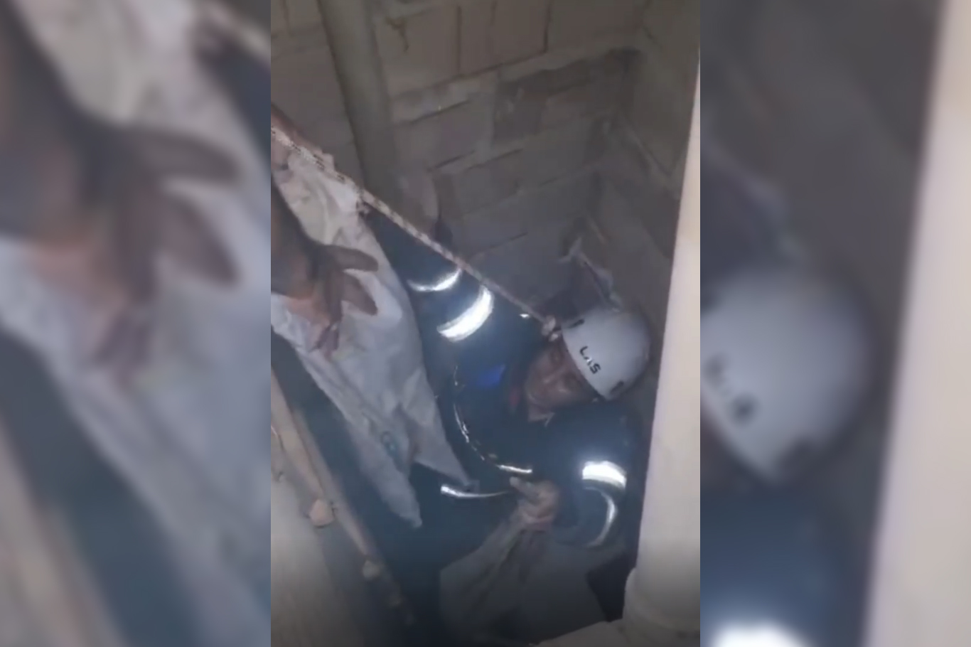 Şanlıurfa'da havalandırma boşluğuna düşen üç yavru kedi kurtarıldı Şanlıurfa'da havalandırma boşluğuna düşen üç yavru kedi kurtarıldı
