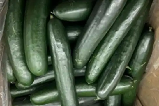ABD'de salmonella salgını