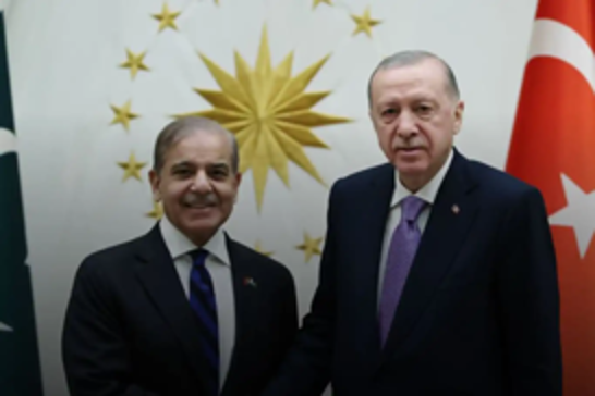 Turkish President Erdoğan expresses solidarity with Pakistan in call with PM Sharif