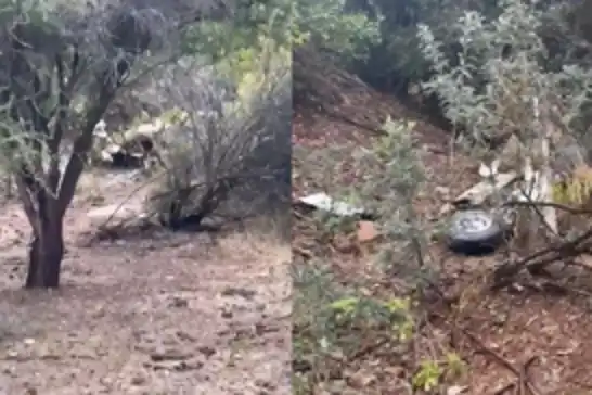 Şili'de ambulans uçak kazasında 6 kişi öldü