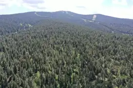 Çorum'da  ormanlara girişler yasaklandı