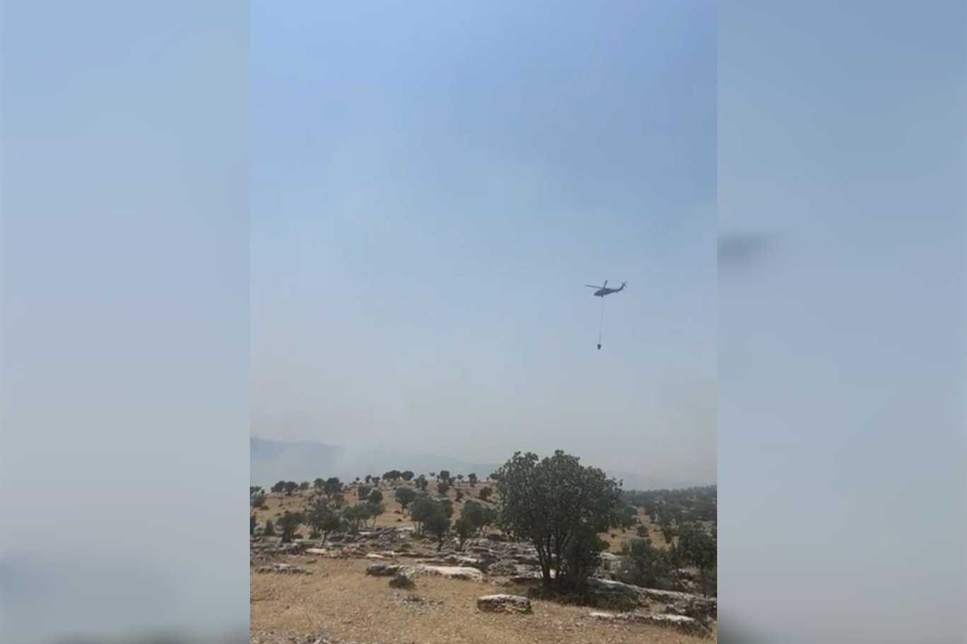 Mardin’de orman yangını: Helikopterlerle müdahale ediliyor Mardin’de orman yangını: Helikopterlerle müdahale ediliyor