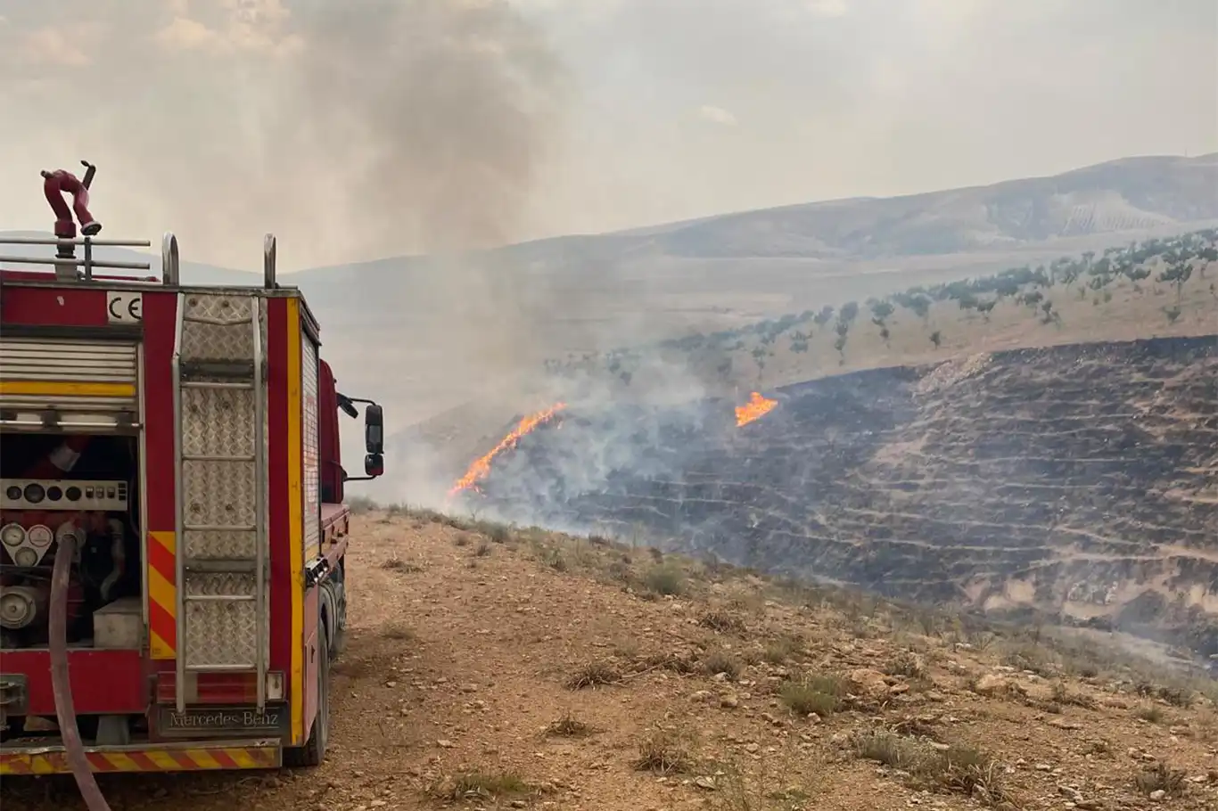 Şanlıurfa'da buğday tarlasında yangın: 170 dönüm alan kül oldu Şanlıurfa'da buğday tarlasında yangın: 170 dönüm alan kül oldu