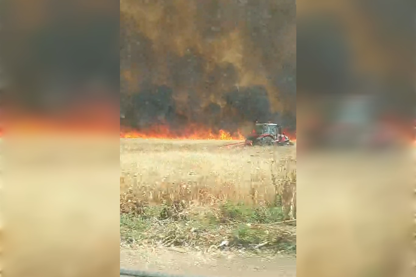 Mardin’de yaklaşık bin dönüm ekili buğday yandı Mardin’de yaklaşık bin dönüm ekili buğday yandı