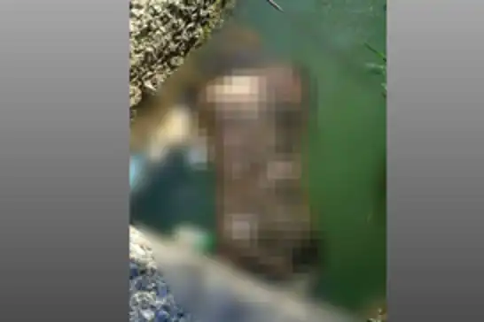 Van'da sulama kanalında erkek cesedi bulundu