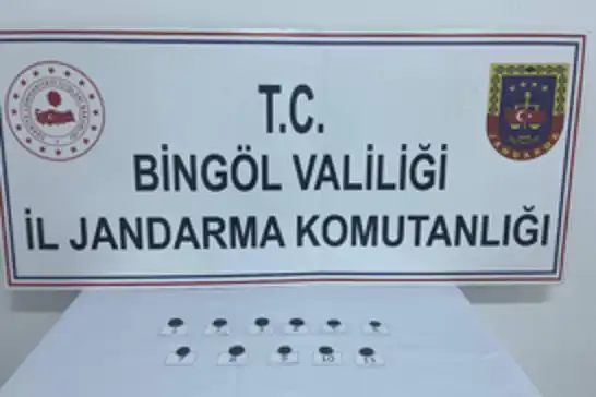Bingöl'de tarihi eser operasyonu