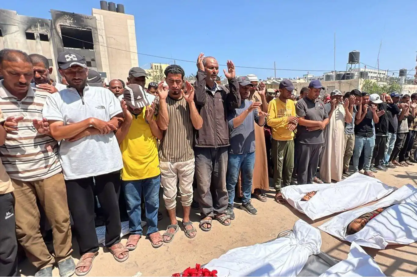 Gazze Şeridi'nde şehit sayısı 55 bin 493'e ulaştı Gazze Şeridi'nde şehit sayısı 55 bin 493'e ulaştı