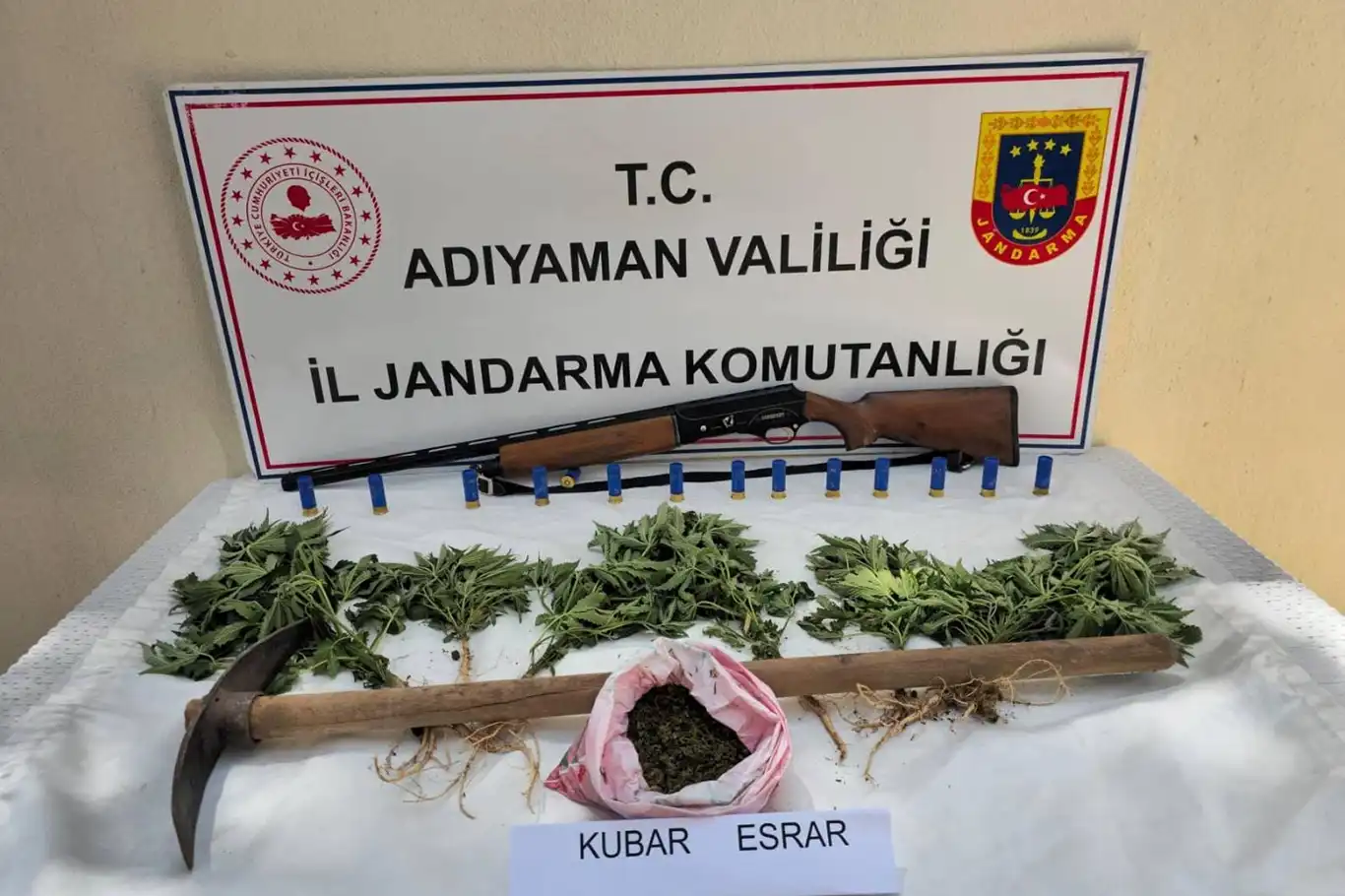 Adıyaman'da uyuşturucu operasyonu: 1 gözaltı Adıyaman'da uyuşturucu operasyonu: 1 gözaltı