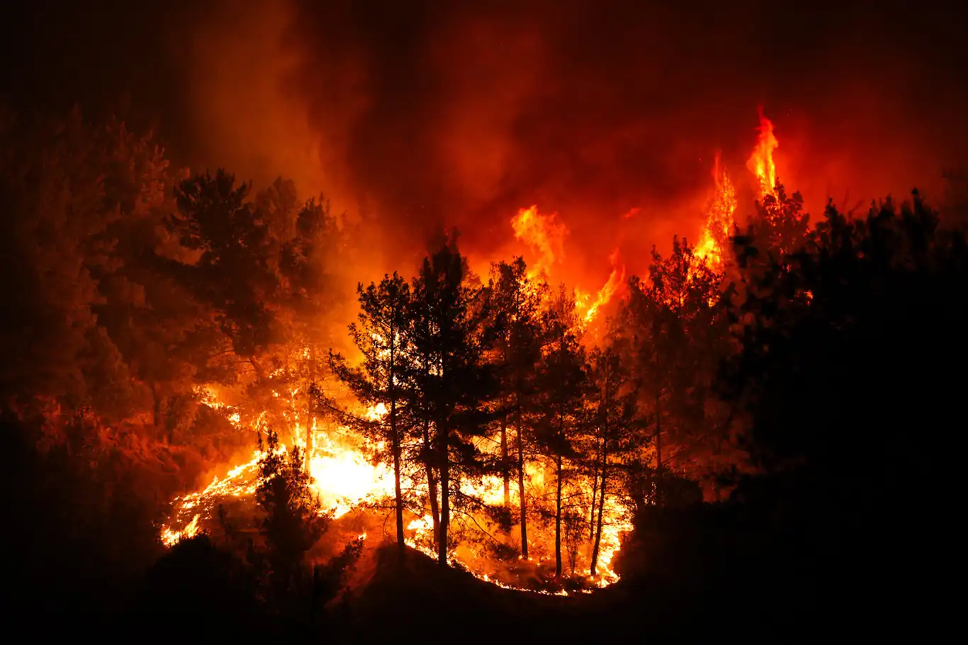 İzmir'de orman yangını hızla yayılıyor