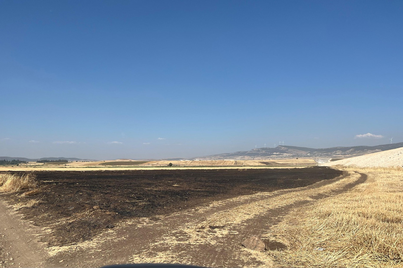 Anız yakan şahsa idari para cezası kesildi Anız yakan şahsa idari para cezası kesildi