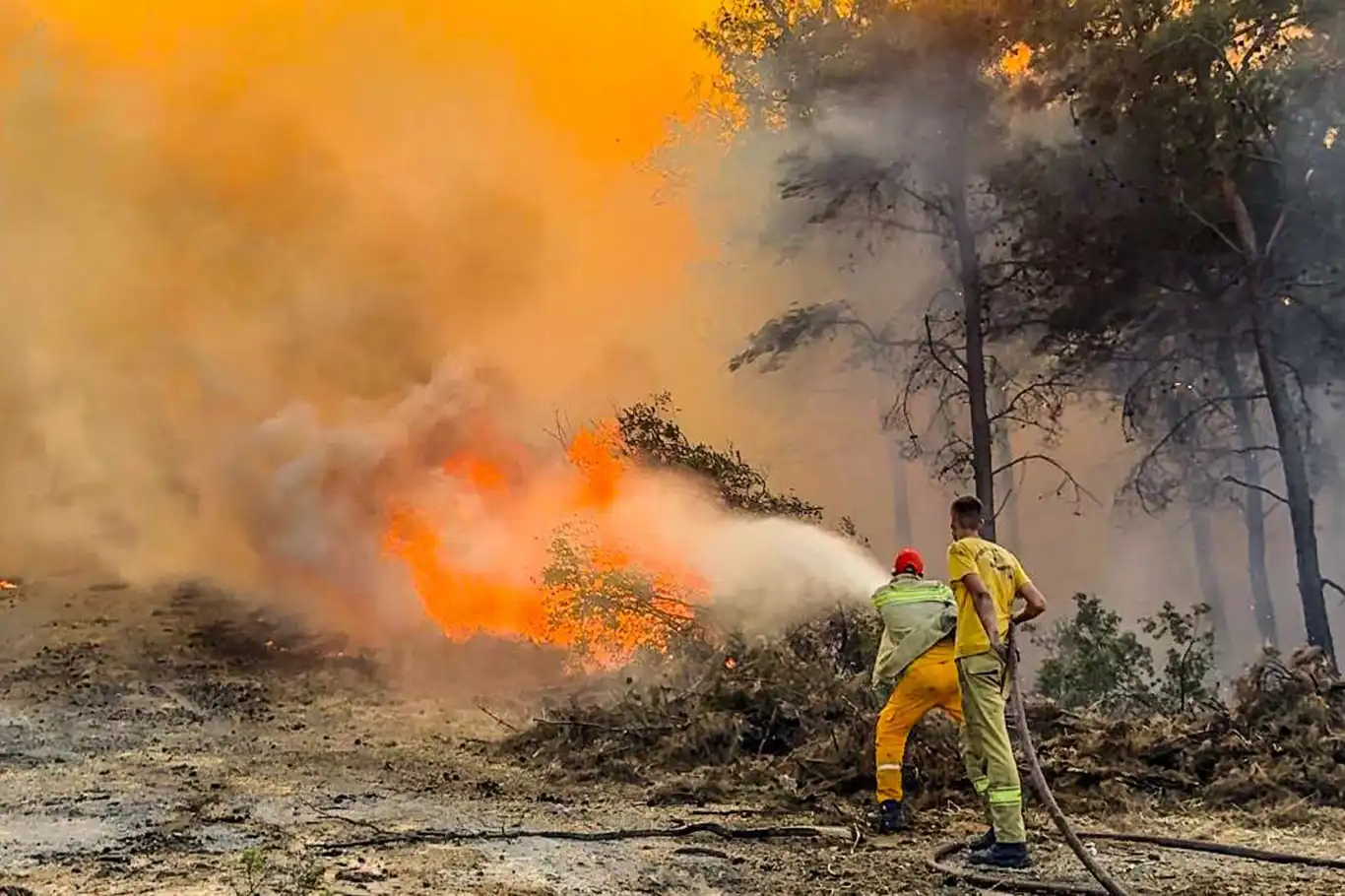 Bakan Yumaklı: Bugün 67 yangın çıktı, 63'ü kontrol altına alındı