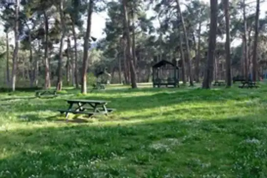 Ankara Valiliğinden orman yangınlarına karşı sıkı tedbirler