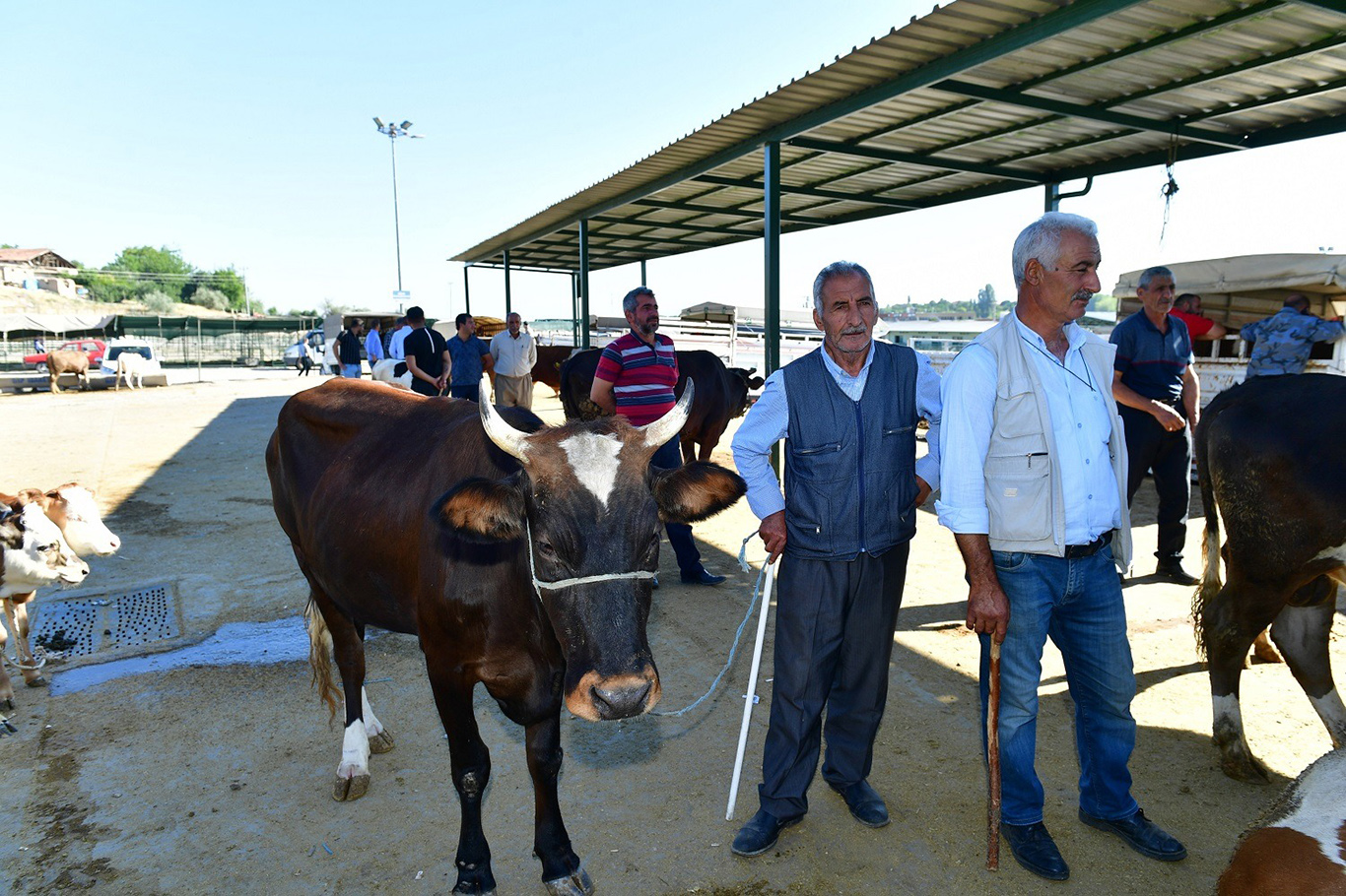 Yeşilyurt Belediyesi 41 noktada kurban satış ve kesim yeri belirledi Yeşilyurt Belediyesi 41 noktada kurban satış ve kesim yeri belirledi