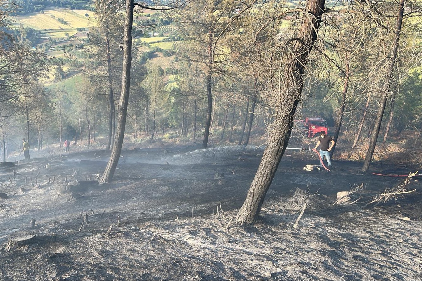 Balıkesir'de orman yangını Balıkesir'de orman yangını