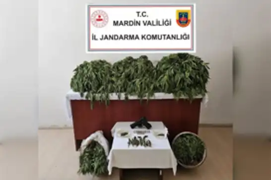 Mardin'de uyuşturucu operasyonu: 4 gözaltı