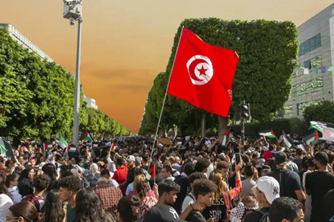 قافلة دعم من تونس إلى غزة: من المقرر انطلاق بعثة تضم 5 آلاف مشارك قافلة دعم من تونس إلى غزة: من المقرر انطلاق بعثة تضم 5 آلاف مشارك