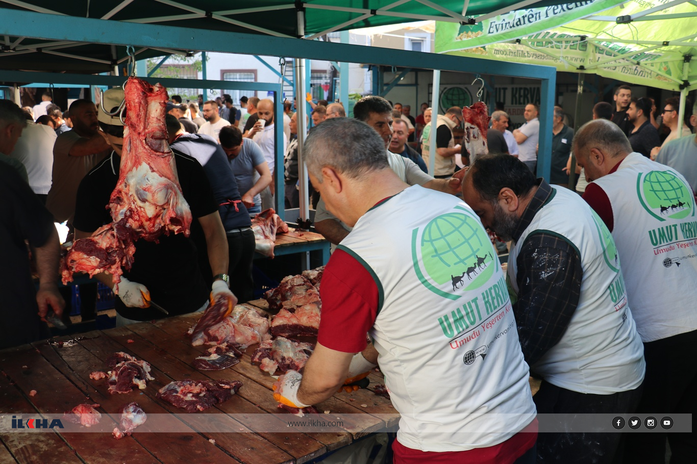 قافلة الأمل تذبح مئات الأضاحي في إسطنبول وتوزعها على المستحقين