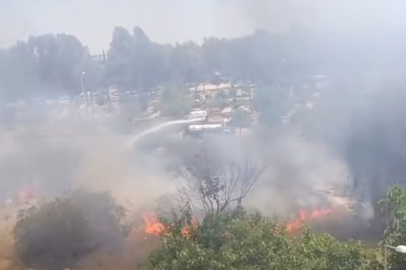 Adana'da ağaçlık alanda yangın Adana'da ağaçlık alanda yangın