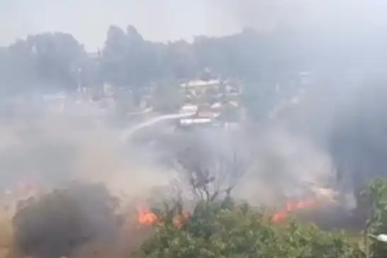 Adana'da ağaçlık alanda yangın 