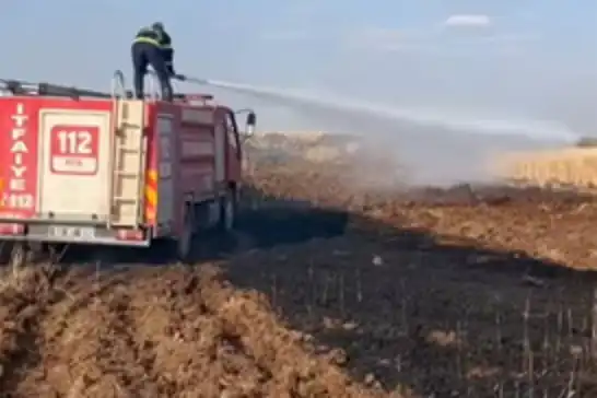 Şanlıurfa'da buğday tarlasında yangın: 170 dönüm alan kül oldu