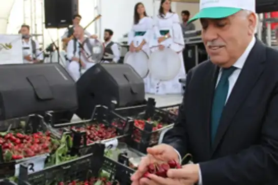 Mardin’de “kiraz” gölgesinde ifsat edici festivale tepki
