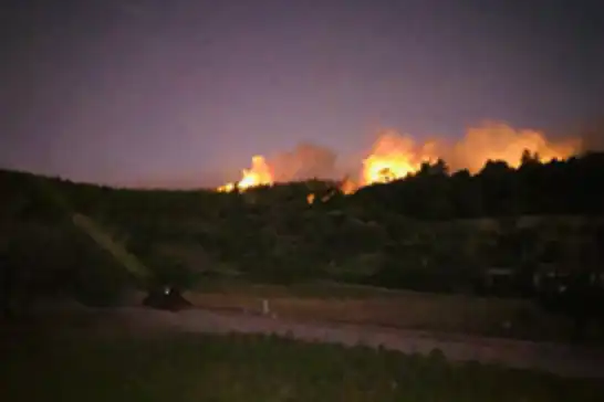 İzmir'de ormanlık alanda yangın