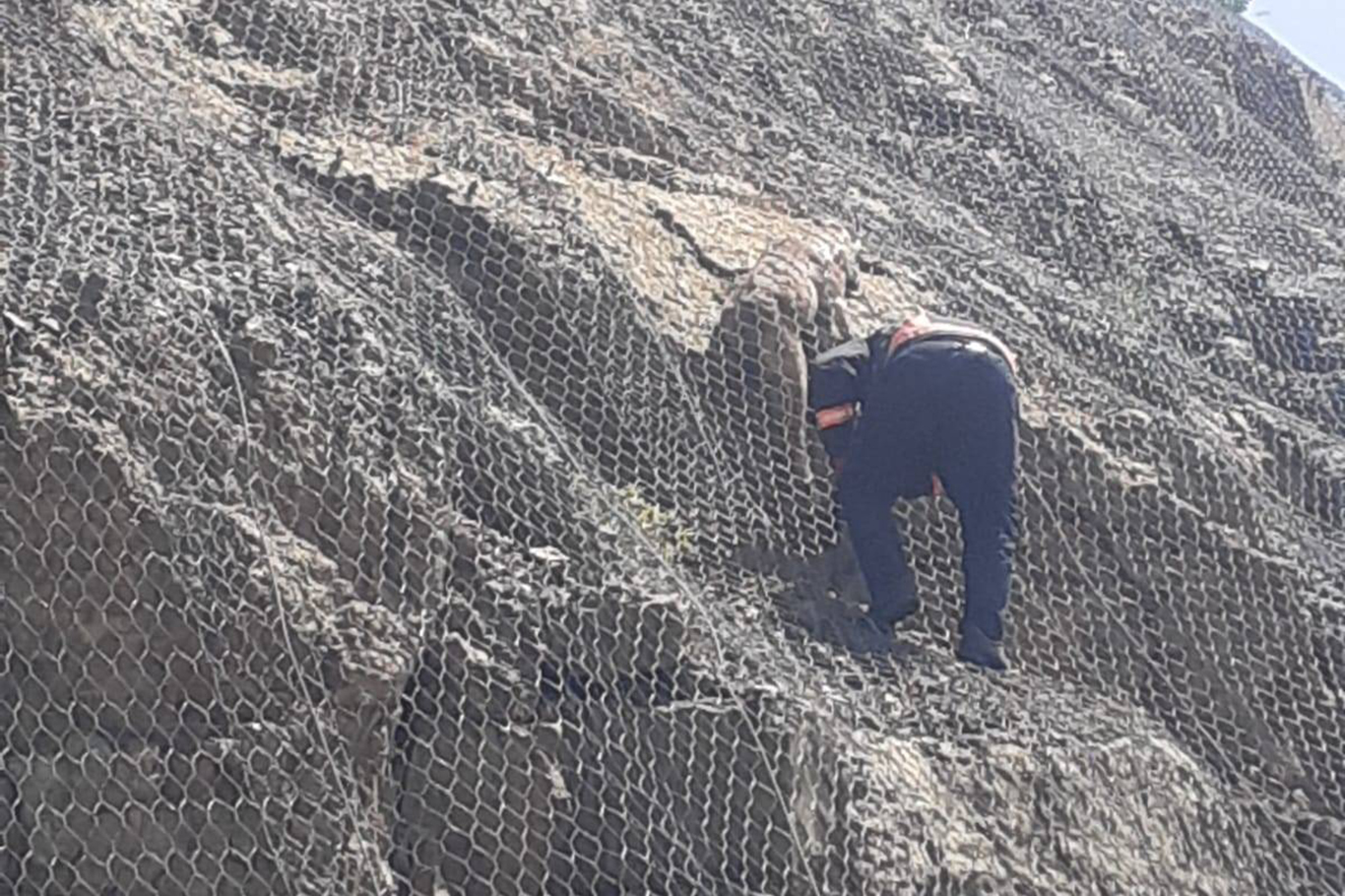 Tellerin arasına sıkışan yaban keçileri kurtarıldı Tellerin arasına sıkışan yaban keçileri kurtarıldı