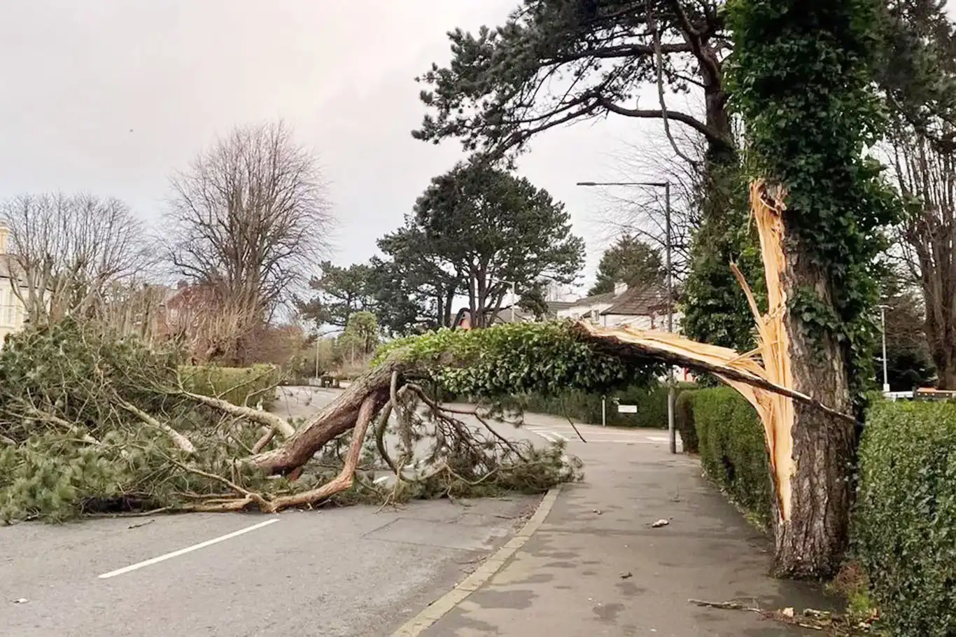Meteoroloji'den kuvvetli rüzgâr uyarısı Meteoroloji'den kuvvetli rüzgâr uyarısı
