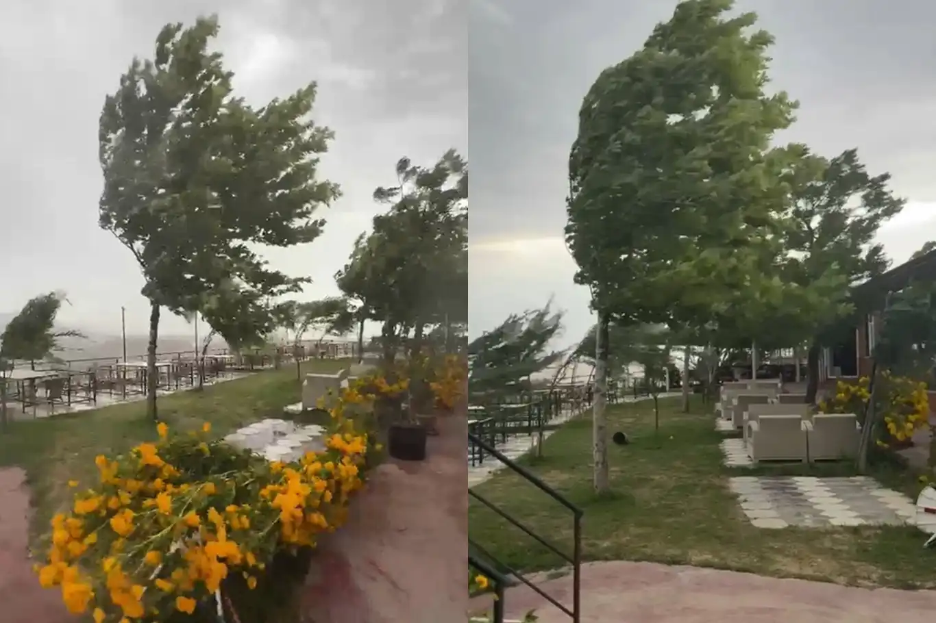 Palu'da fırtına etkili oldu